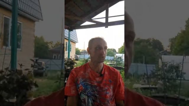 В гостях у Дмитрия в прямом эфире! смотреть онлайн