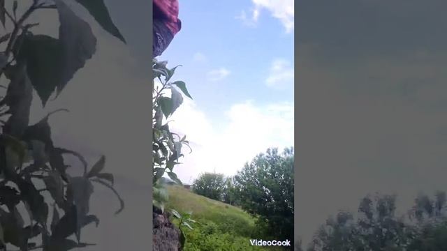 настройки 24 часа