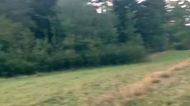 Біличі, Старосамбірський район, Львівська область смотреть онлайн