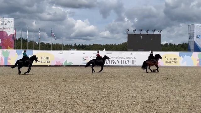 Конный котильон в дамских седлах. Иваново поле 2023 смотреть онлайн