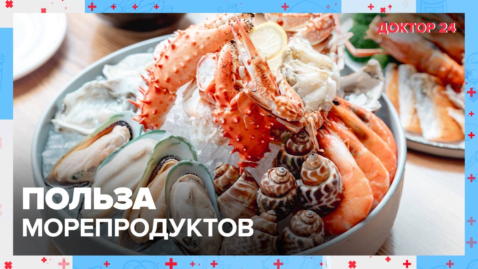 Чем полезны МОРЕПРОДУКТЫ? | Доктор 24 смотреть онлайн