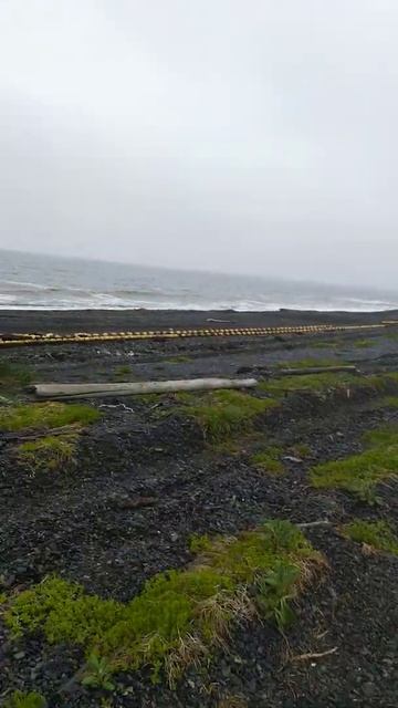 Рыбалка это не просто) смотреть онлайн