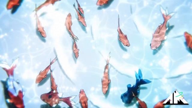 Night Tempo - Koi смотреть онлайн