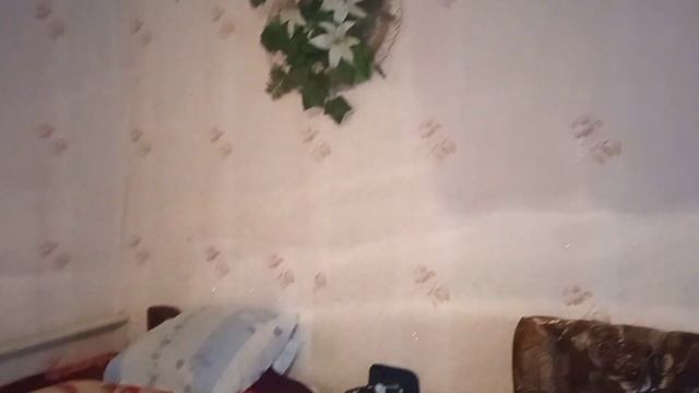 Пробуем мою консерву в томатном соусе. Проблема сгорел телевизор. смотреть онлайн