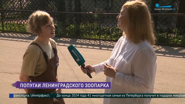 Всемирный день попугая смотреть онлайн
