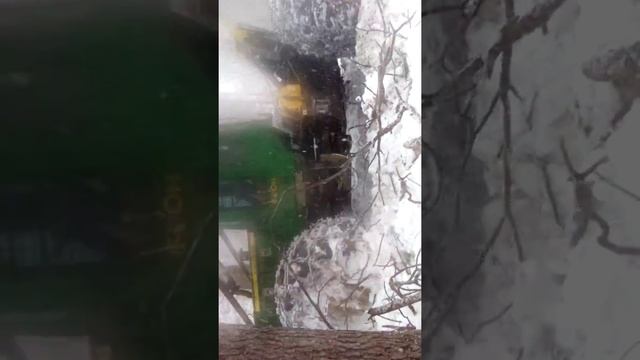 Все подряд В тайге Приморья (есть маты).(56) смотреть онлайн