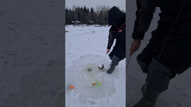 Поимки на поставушки смотреть онлайн