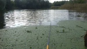 Рыбалка на МОРМЫШКУ и ЗИМНИЕ СНАСТИ летом! Ловля на поплавок и маховую снасть