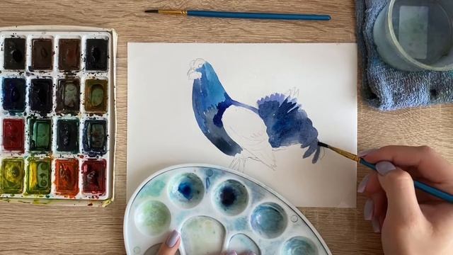 Как нарисовать тетерева карандашом и акварелью начинающим | Рисунок для детей смотреть онлайн