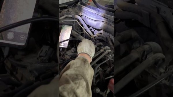 осмотр авто автоэкспертом ОСА РФ