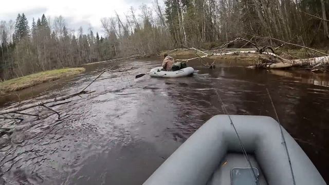 Тихвинка в апреле. Часть 2 : 
