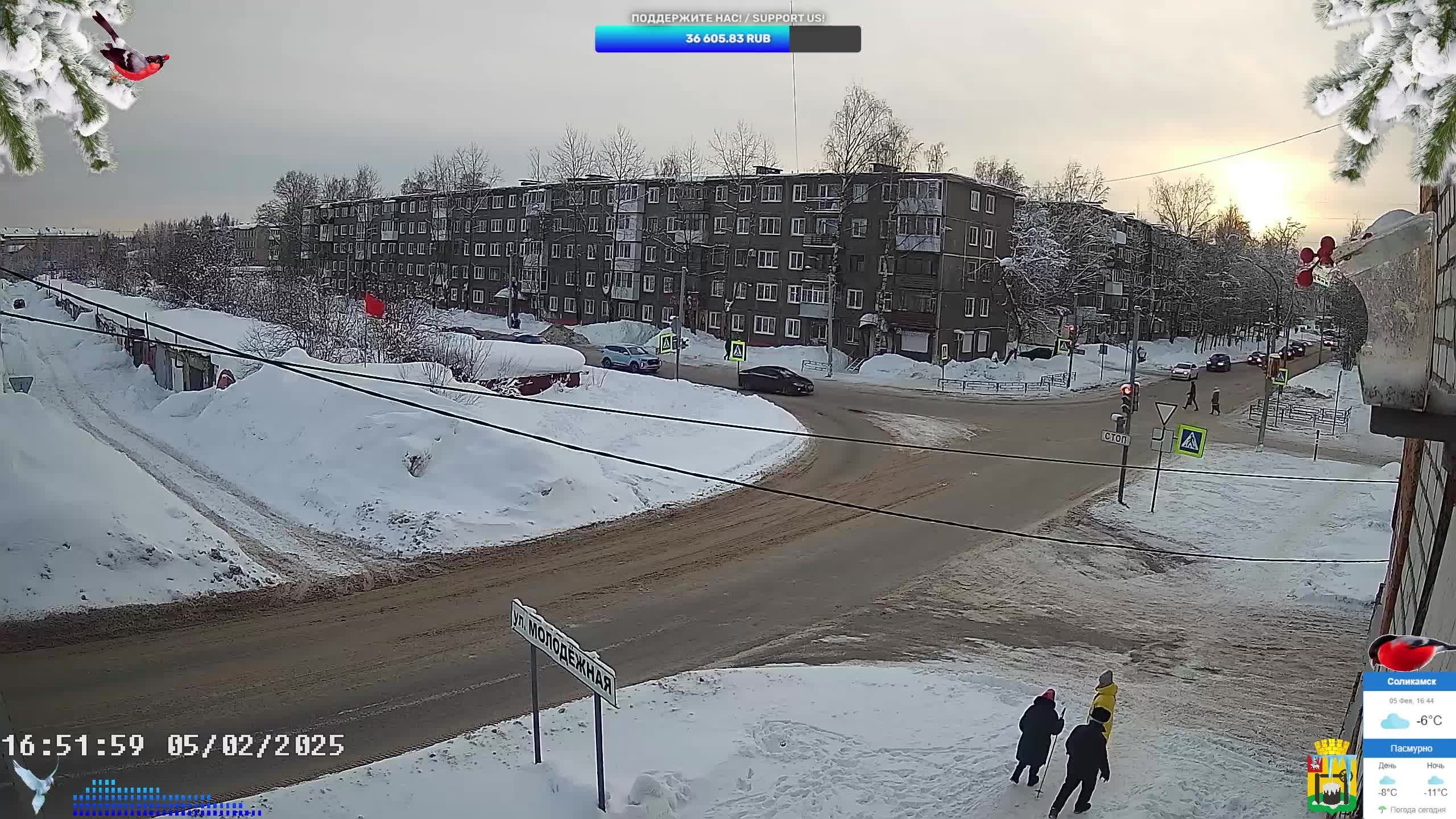 Камера Соликамск (Боровск), Россия, Пермский край | Сamera Solikamsk, Russia With Bird Feeder