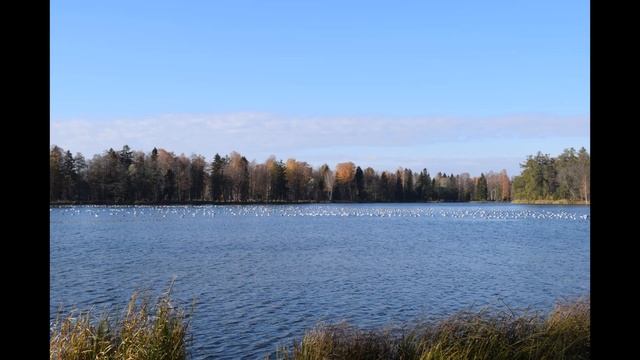 Гатчинский дворец смотреть онлайн