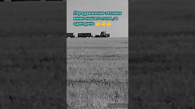 Один день с поля.#алекс_юстасу #можеткомупригодится #кировец #дорога #комбайн #сельхозтехника смотреть онлайн