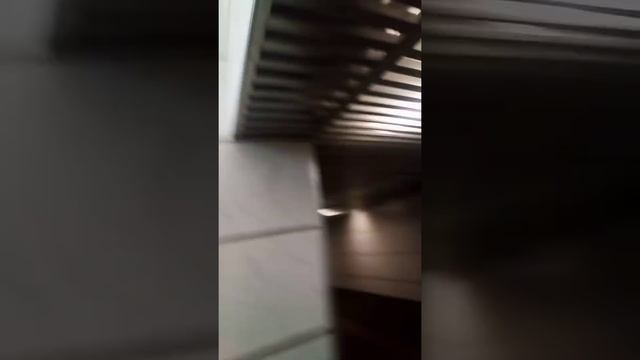В подземки серут КОНИ🤣😂😅😆😁😄😃😀 смотреть онлайн