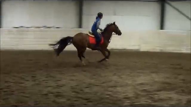 valack f.06 e  Quasimodo – Quidam de revel