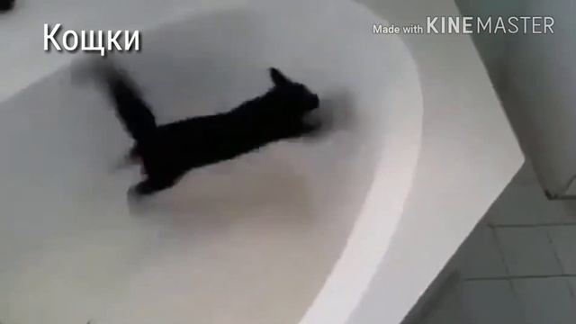 Ран ран ран смотреть онлайн