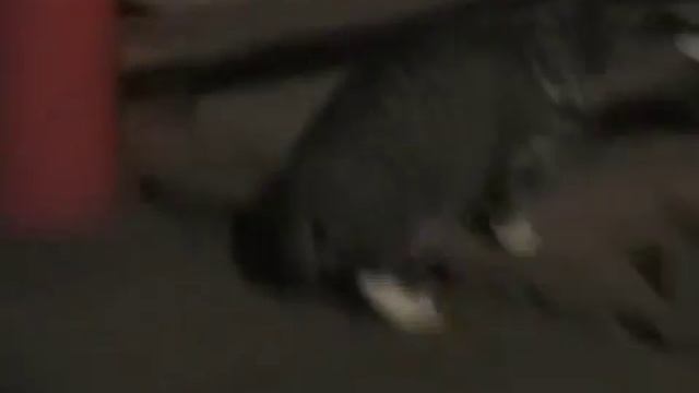 Architektur Der Majestät Gottes