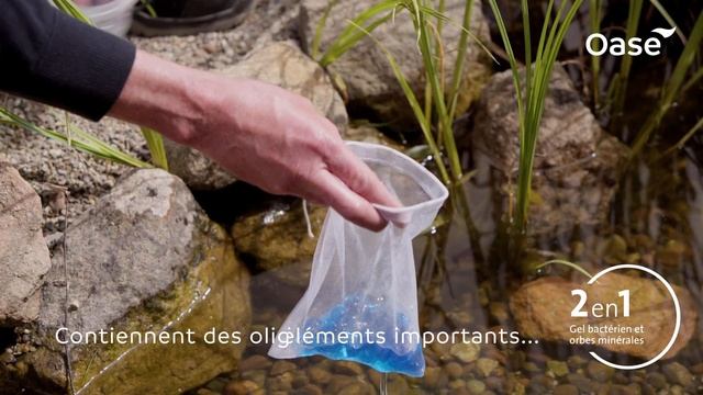 OASE | DuoBoost – Une action en deux temps pour fortifier la faune de votre bassin. | French смотреть онлайн