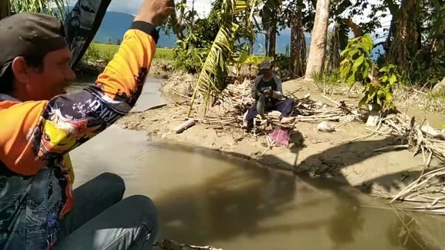 MANCING DI PERTIGAAN SUNGAI YG MENJADI SARANG NYA IKAN NILA , AUTO PANEN смотреть онлайн