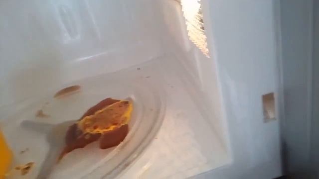 Издеваюсь над жевачкой грею в микроволновке(2)