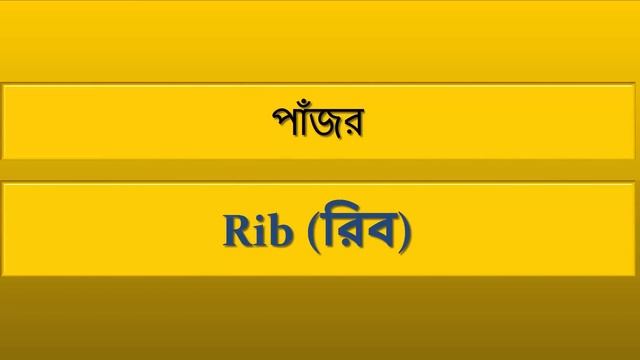 যে ৫০০ টি শব্দ জানলে দ্রুত ইংরাজি বলতে পারবেন || 500 Most Common English Words #05 смотреть онлайн