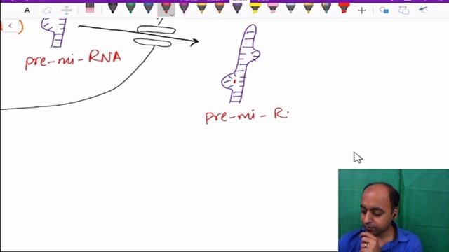 Biochemistry- RNA (PG Prep) смотреть онлайн