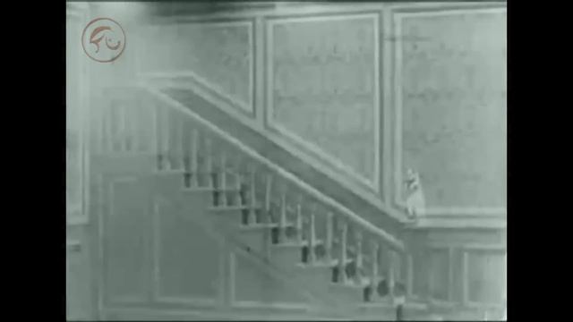 Born For Bliss - White Rabbit (Wonderland Mix) - Jefferson Airplane cover смотреть онлайн