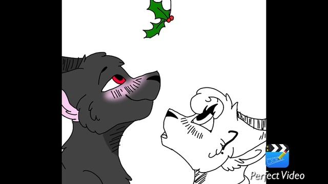 Ищу пару кв (кошку) (нашёл ❤️❤️) смотреть онлайн