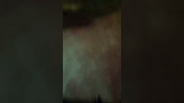 pest and animals смотреть онлайн