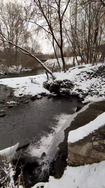 Портал подземной речки Монастырки #SHORTS смотреть онлайн