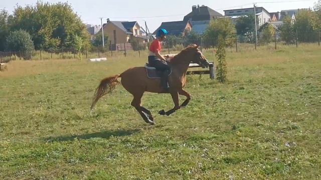 Отправить смотреть онлайн