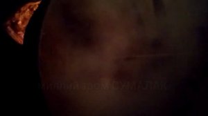 Узбек миллий таомларидан СУМАЛАК тайёрлаш сирлари ва жараёни. 👍👍😋