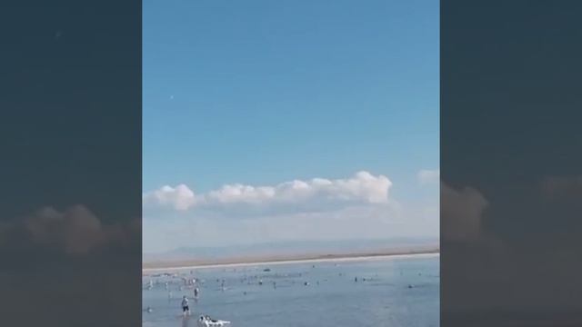 Журналист Л.Асанова Балқожаевтың блогерлігін алаяқтыққа теңеді смотреть онлайн