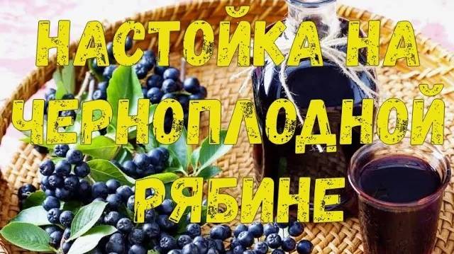 НАСТОЙКА НА ЧЕРНОПЛОДНОЙ РЯБИНЕ