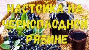 НАСТОЙКА НА ЧЕРНОПЛОДНОЙ РЯБИНЕ