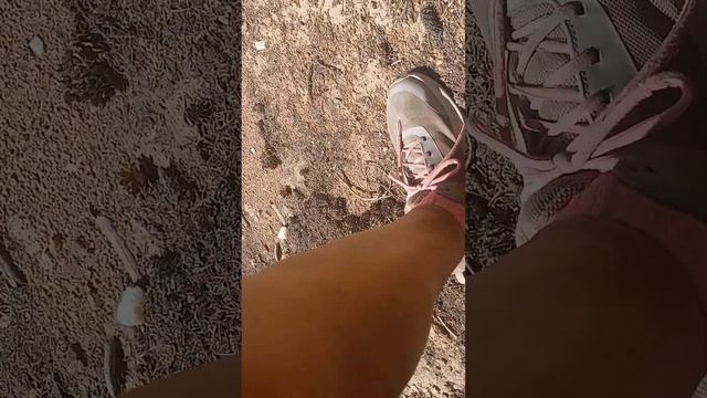 Sara Lee outdoors Colorado dike trail (1) смотреть онлайн