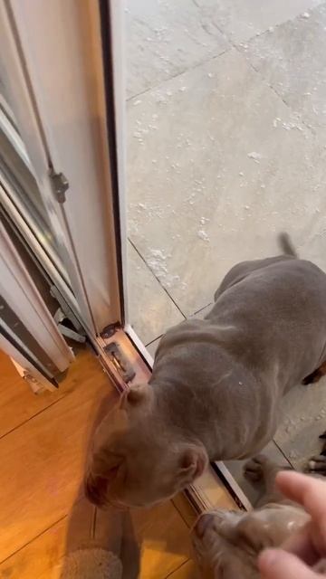 Нытик и его команда!) смотреть онлайн