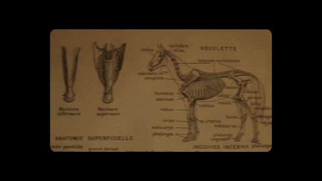 UCDB - ONTEM, HOJE E ALÉM DO AMANHÃ смотреть онлайн