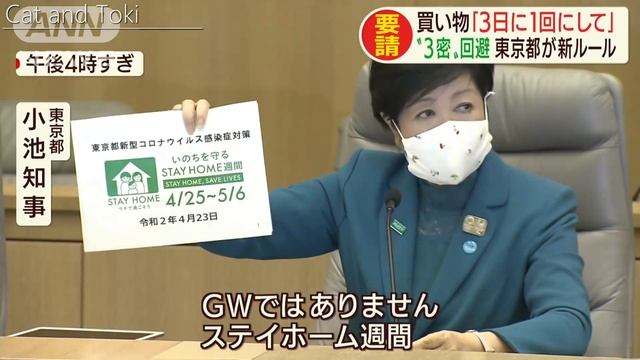 小池百合子都知事EDM密ですビート！スコティッシュフォールドの可愛い面白い猫動画 経歴・学歴詐称？ смотреть онлайн