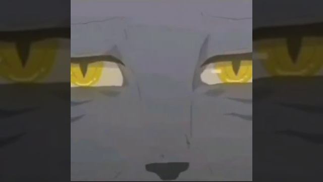 Клип коты воители "Я не сплю" смотреть онлайн