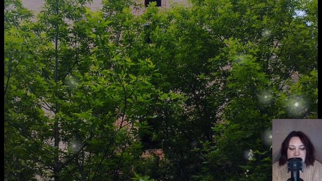 С невесткой у Светы сразу не заладились отношения. Но вот сын повадился к продавщице и она ... смотреть онлайн