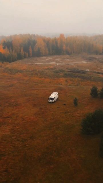 Как будто мы одни на всем белом свете