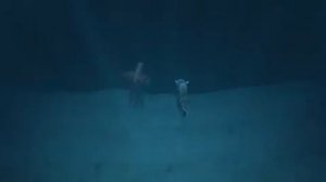 Хранитель луны