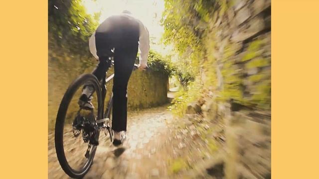 The all new 2022 Marin Muirwoods stars in 'Too Late to Brake' смотреть онлайн