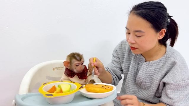 Mom was happy when monkey Diana recovered from her illness and ate well смотреть онлайн