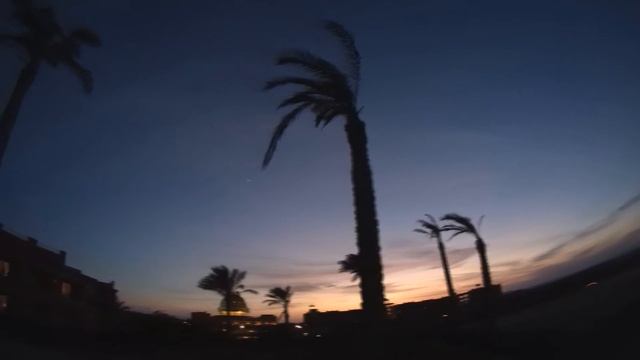 Abu Dabbab (El Malikia - Sol-Y-Mar) Marsa Alam - Egypt 2013 - PART2 смотреть онлайн