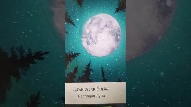 ЛЕВ‼️♌ КОРИДОР ЗАТМЕНИЙ 25-08 НОЯБРЯ смотреть онлайн
