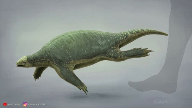 Archelon: The Largest Turtle Ever To Have Lived