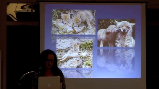 Coyote Talk смотреть онлайн